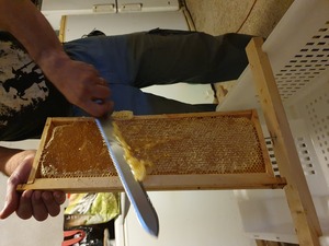 Cadre de miel désoperculé
